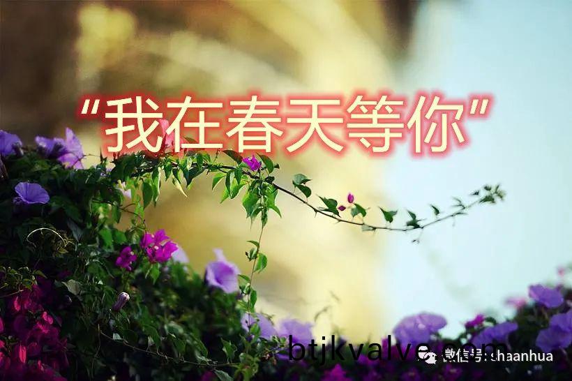 百度(xin)圖片_20220308174222.jpg